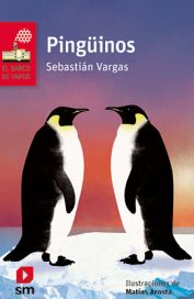 Pinguinos